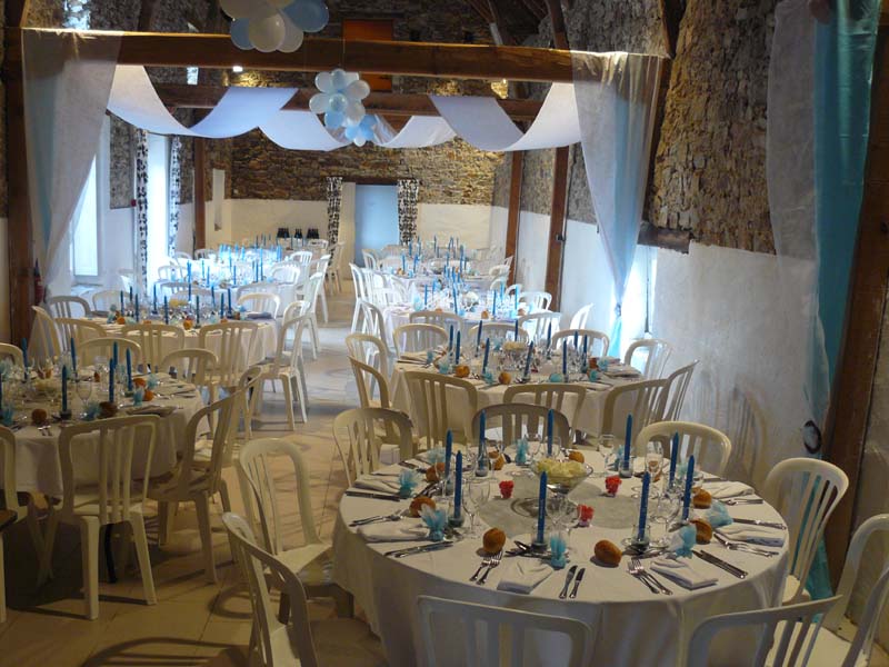 Château de la Senaigerie_44830 BOUAYE_12